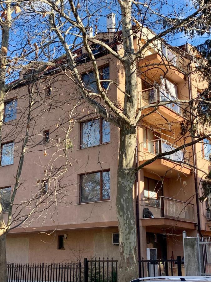 Lovely Sofia Apartment Katerina With Free Parking Exterior photo
